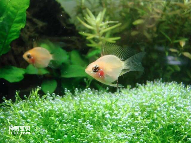 2023043010990633.jpg 8.jpg