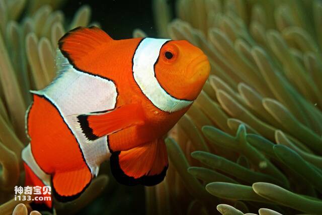 2023043011538998.jpg 3.jpg