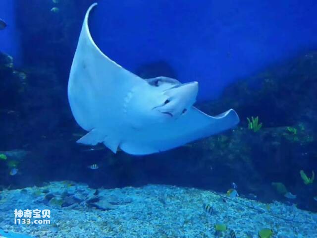 2023043014928055.jpg 9.jpg