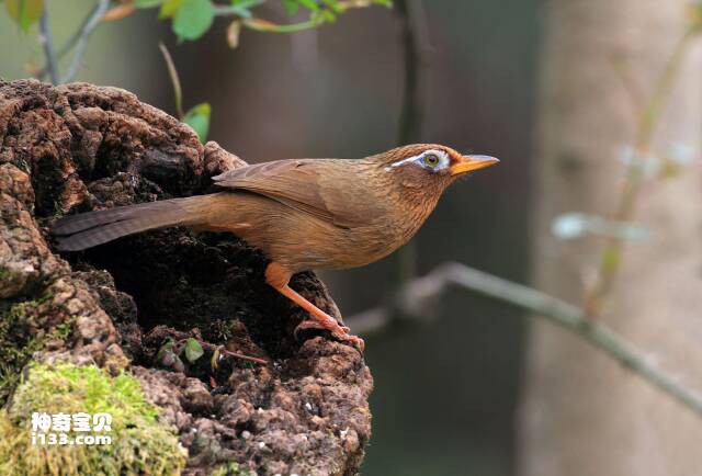 2023043015923277.jpg 2.jpg