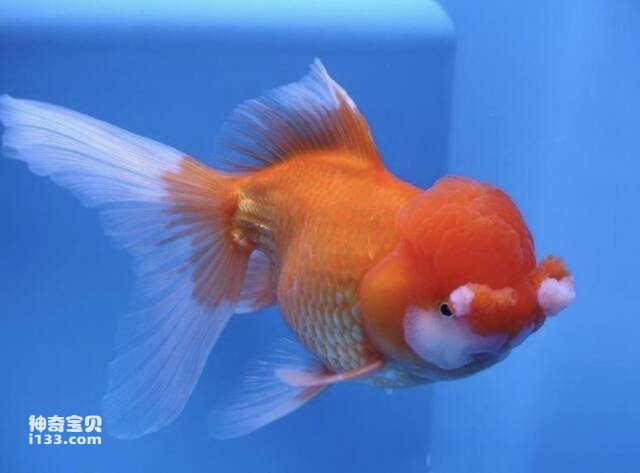 2023043018188660.jpg 屏幕快照 2023-04-30 上午6.56.57.jpg