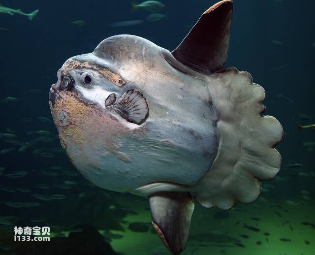 2023043036682040.jpg 屏幕快照 2023-04-30 上午7.06.40.jpg