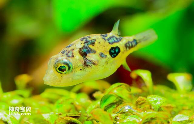 2023043054881311.jpg 10.jpg