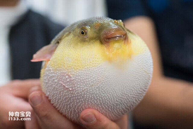 2023043083941898.jpg 2.jpg