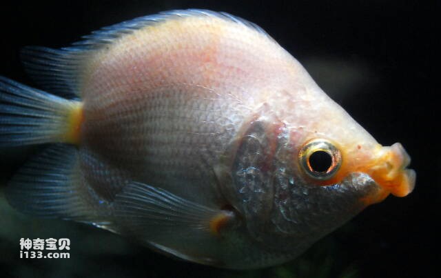 2023043092964520.jpg 7.jpg