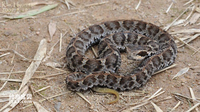 2023050114343585.jpg 7.jpg