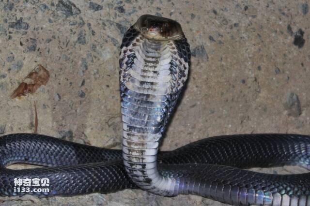 2023050115792238.jpg 3.jpg