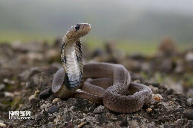 2023050117494135.jpg 4.jpg