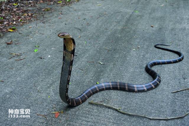 2023050135916758.jpg 6.jpg