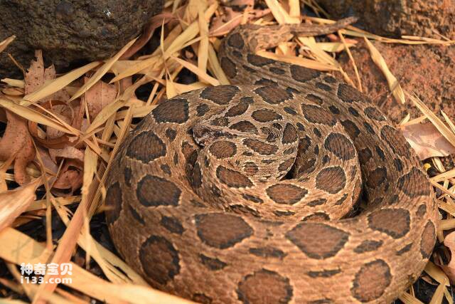 2023050170391093.jpg 5.jpg