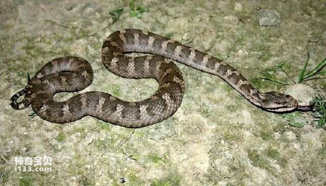 2023050184045618.jpg 8.jpg