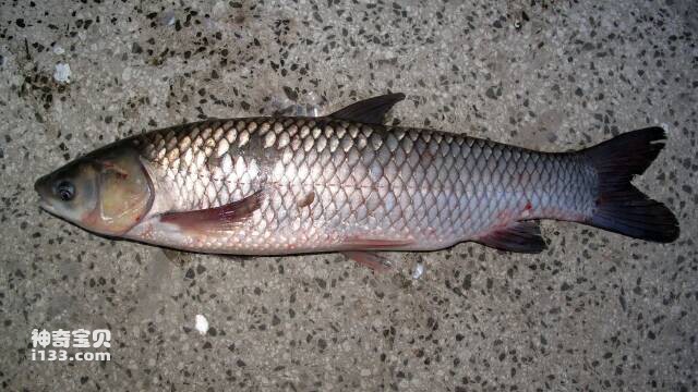 2023050511425154.jpg 7.jpg