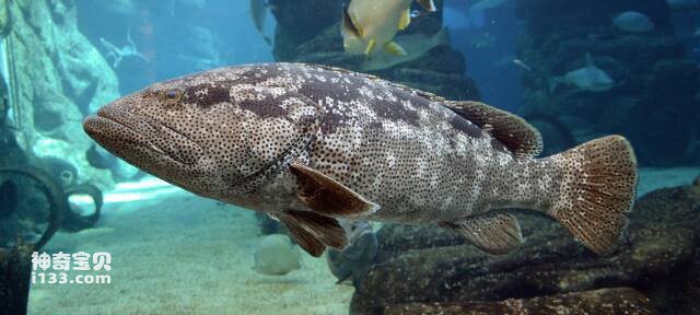 2023050514265846.jpg 10.jpg