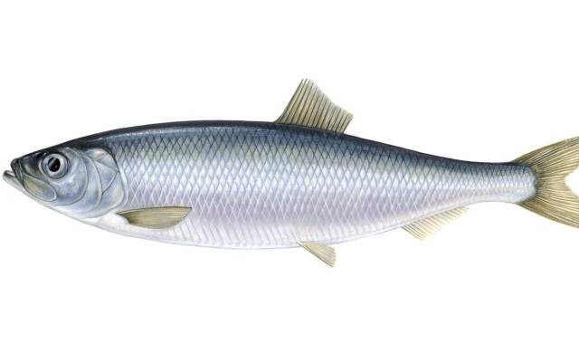 2023050520864905.jpg 4.jpg