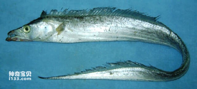 2023050542700685.jpg 3.jpg