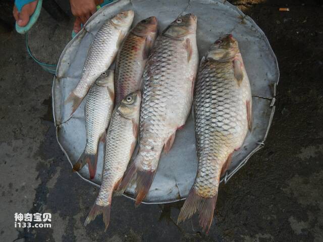 2023050563978313.jpg 5.jpg