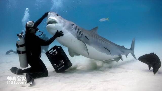 2023050812184262.jpg 2.jpg