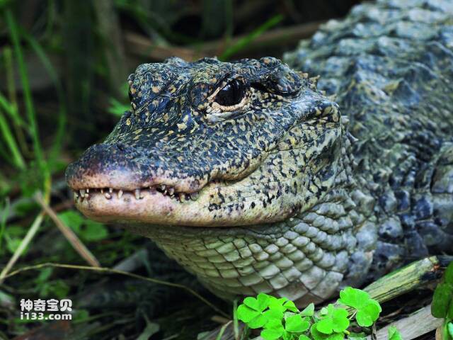 2023050819489836.jpg 7.jpg