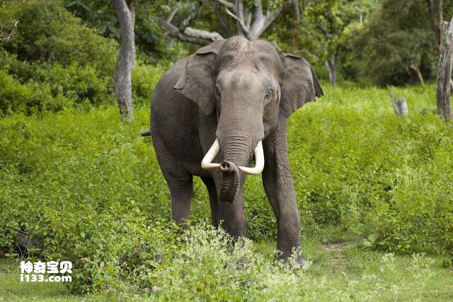 2023050841123008.jpg 3.jpg