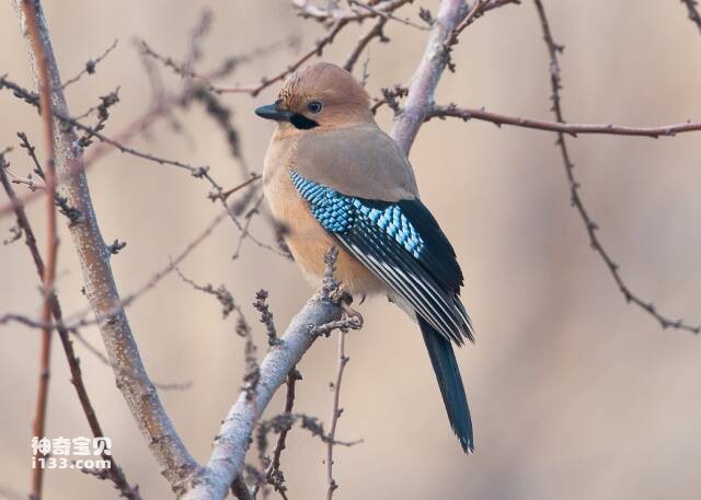 2023050910679655.jpg 6.jpg