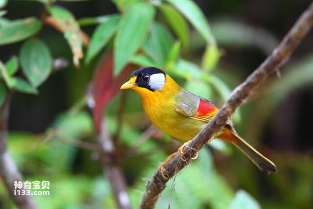 2023050913685439.jpg 9.jpg