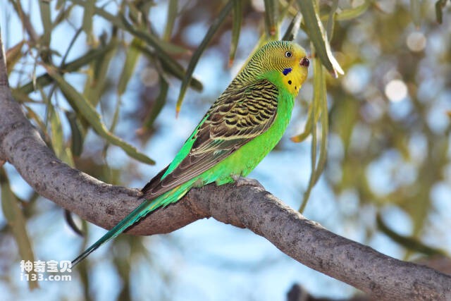 2023050916036946.jpg 2.jpg