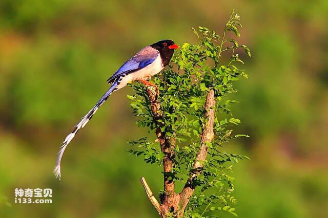 2023050916314424.jpg 5.jpg