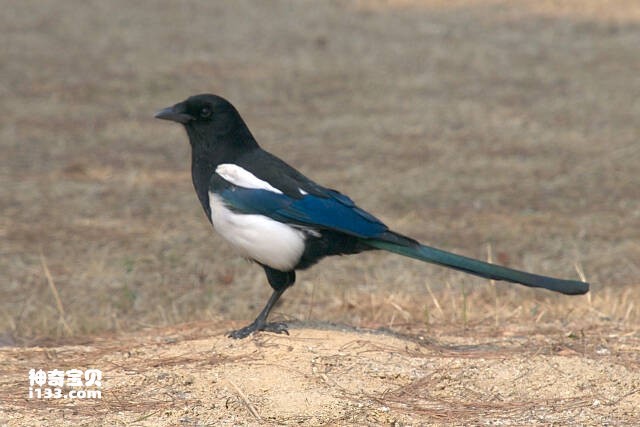 2023050919900097.jpg 7.jpg