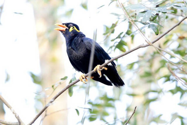 2023050933444822.jpg 4.jpg