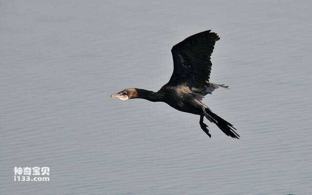 2023050991453352.jpg 8.jpg