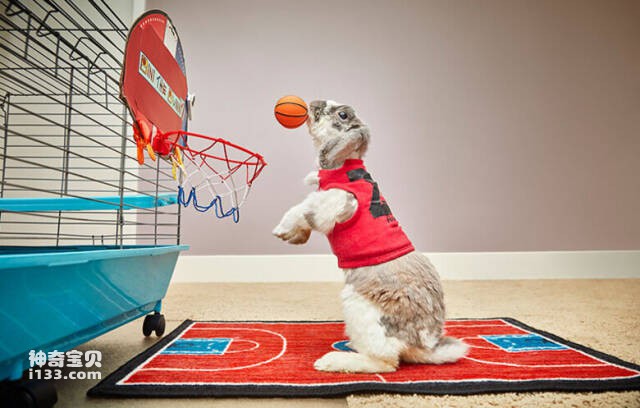 2023051211136613.jpg 8.jpg