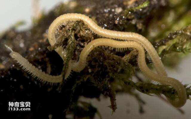 2023051215159855.jpg 5.jpg