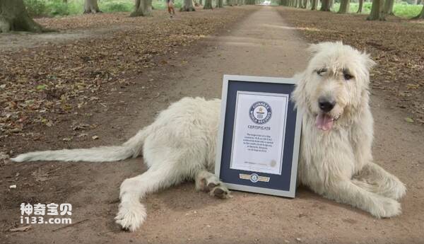 2023051216915549.jpg 4.jpg