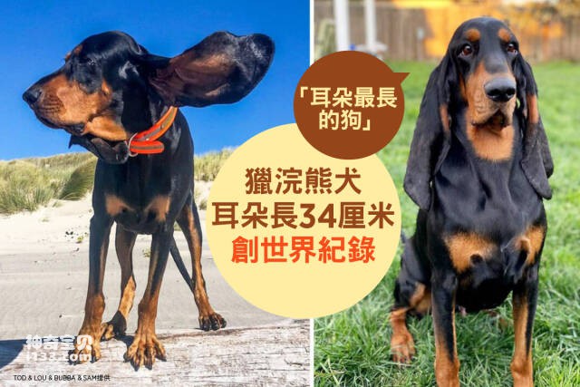 2023051221283122.jpg 3.jpg