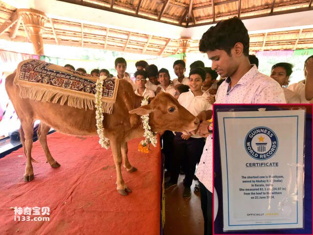 2023051238041060.jpg 7(1).jpg