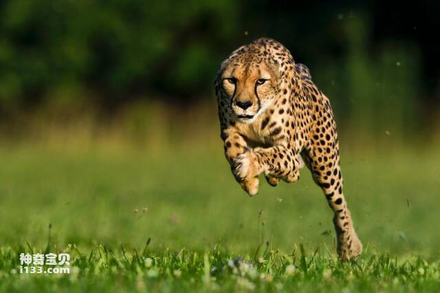 2023051239493013.jpg 6(1).jpg