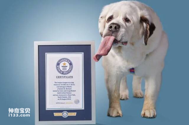 2023051279287173.jpg 2.jpg