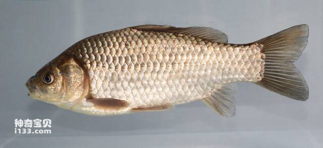 2023051611345291.jpg 7.jpg