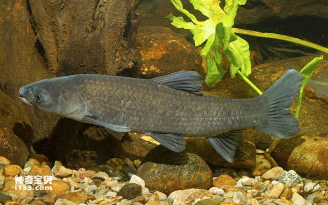 2023051616818045.jpg 4.jpg