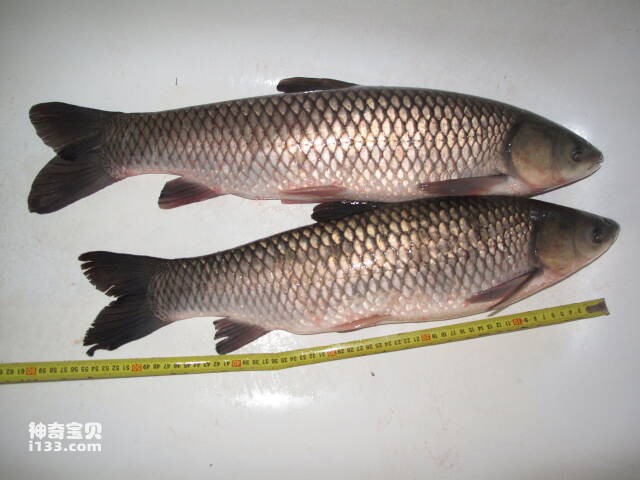 2023051620007474.jpg 2.jpg