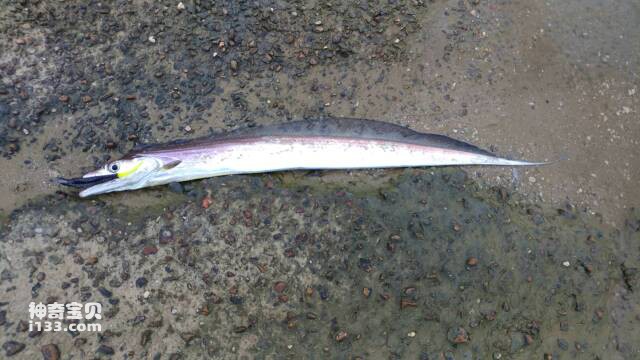 2023051624647001.jpg 6.jpg