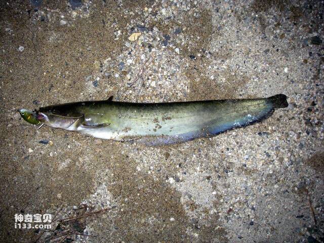 2023051675715171.jpg 9.jpg