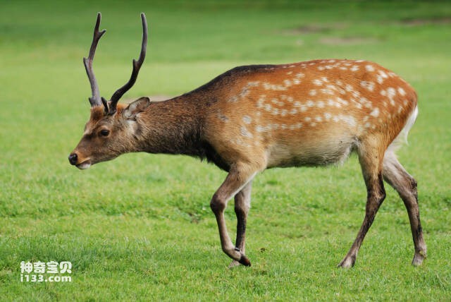 2023051812507641.jpg 10.jpg