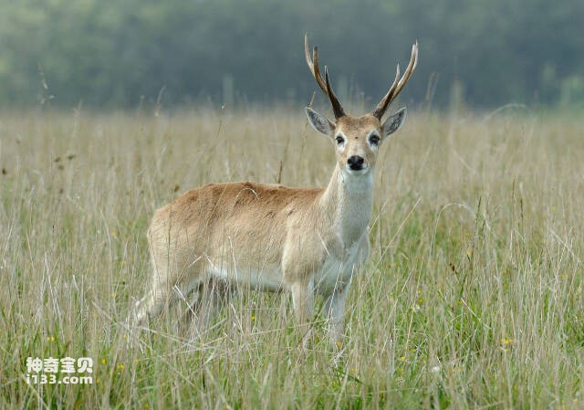 2023051815427979.jpg 9.jpg