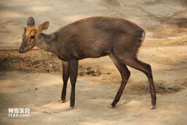 2023051817009578.jpg 8.jpg