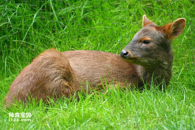 2023051817449827.jpg 5.jpg