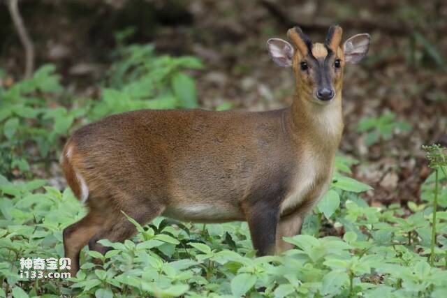 2023051820915134.jpg 4.jpg