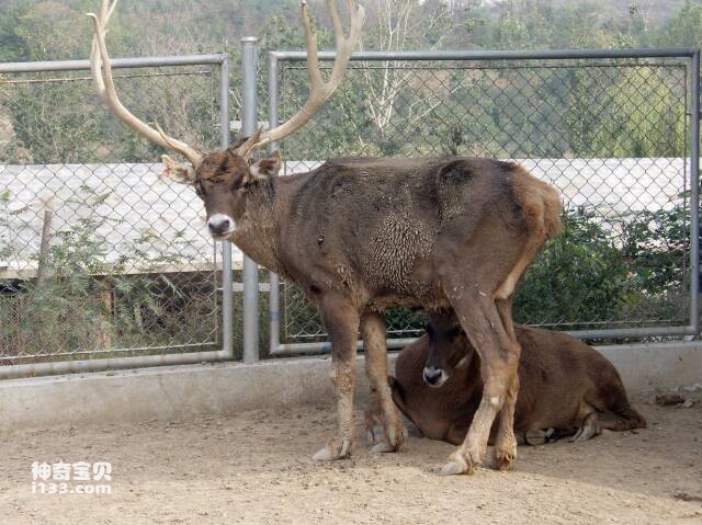 2023051853365664.jpg 屏幕快照 2023-05-18 上午1.46.09.jpg