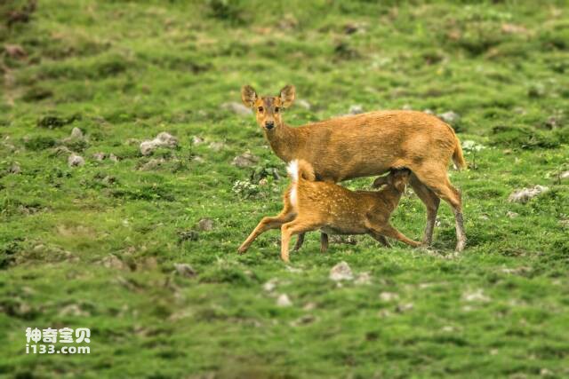 2023051853602961.jpg 3.jpg