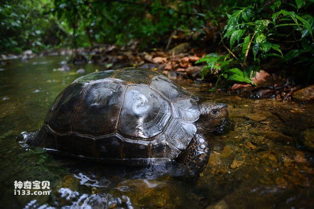 2023052310566953.jpg 10.jpg